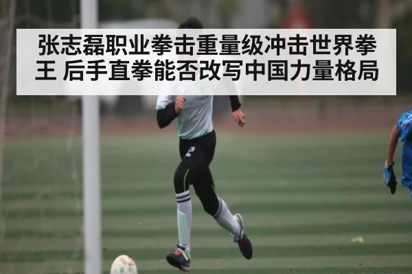张志磊职业拳击重量级冲击世界拳王 后手直拳能否改写中国力量格局（kaiyun）